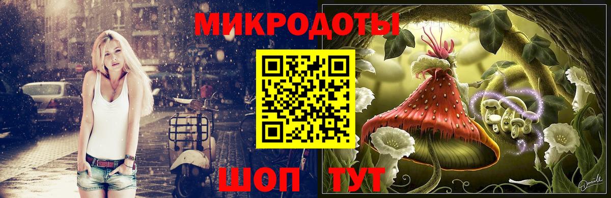 Псилоцибиновые грибы Psilocybe Туймазы