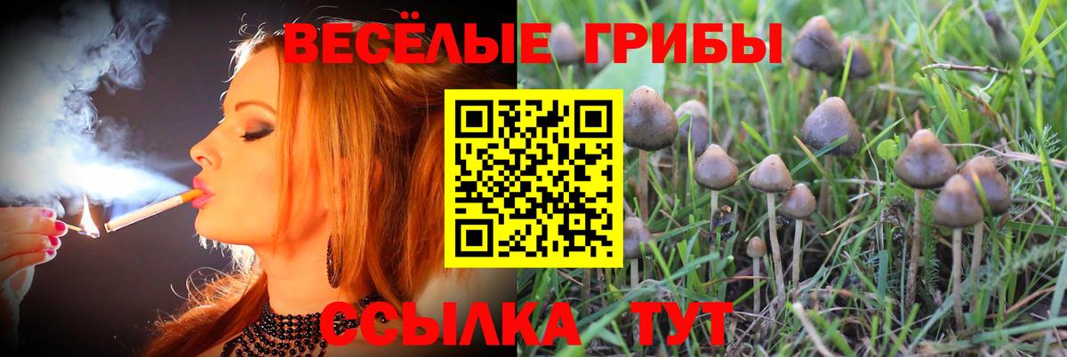 купить закладку  Галлюциногенные грибы Psilocybine cubensis  Вход с VPN  Туймазы  Галлюциногенные грибы Cubensis 